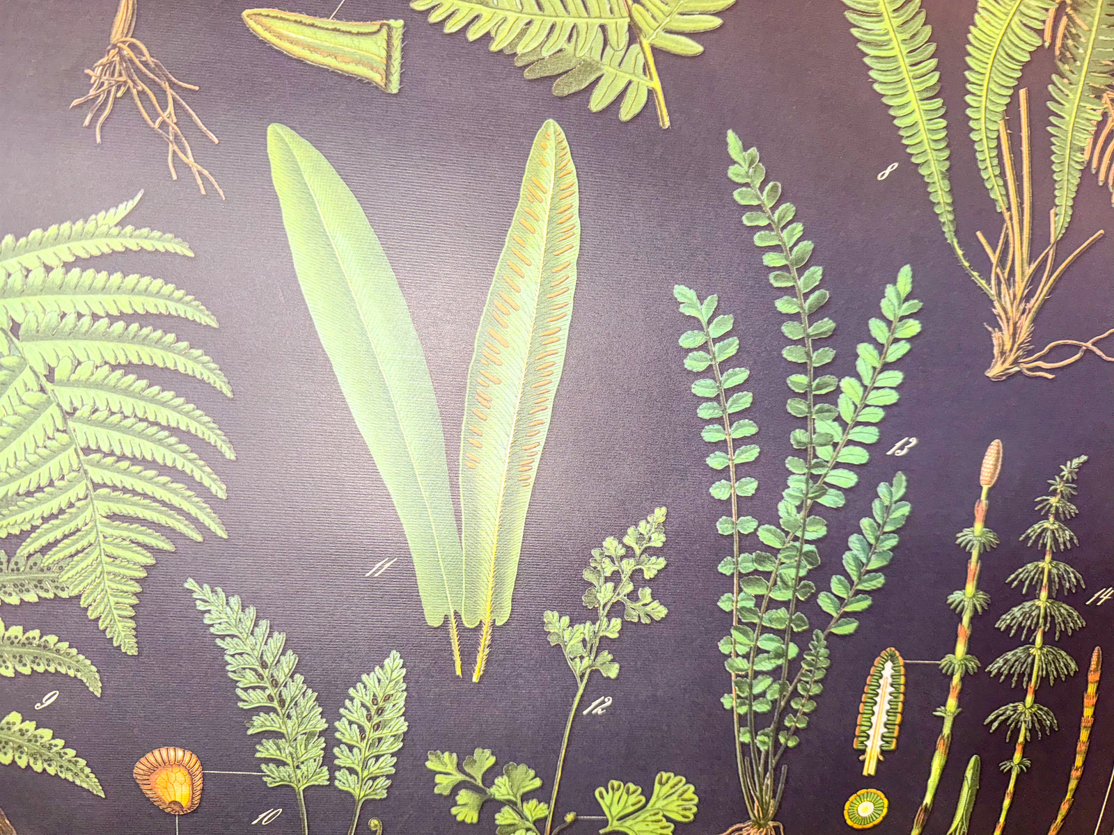 A Basketful of Color: Green Gift Items